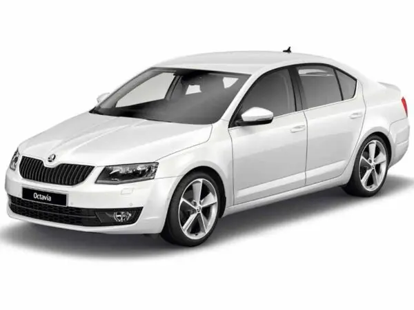Прокат авто Skoda Octavia